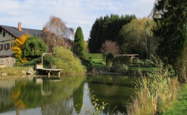 IMG_1482-Medium-770x386