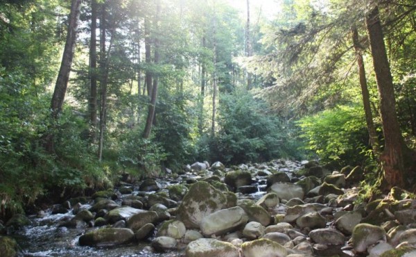 30f48c3c-14b5-41c2-874e-6e7d24d14094.c10