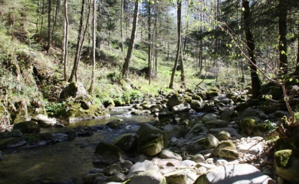 aaa6914c-b7b7-476d-86ad-df2aa23ad472.c10