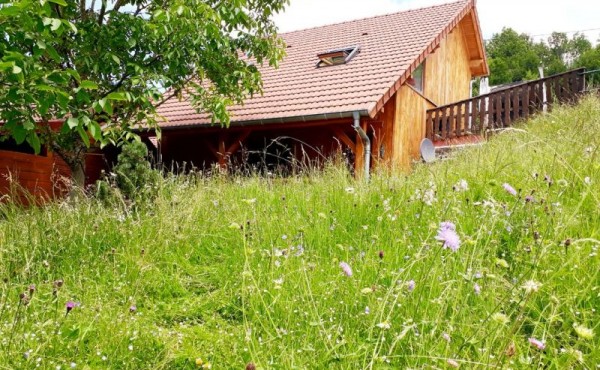 c52989b1df1d4af4fe3c099bd97bea5fa84c3e70