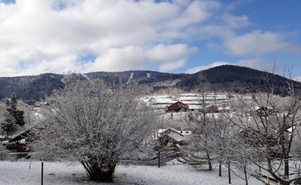 8f1df317d5539bd6eb6fc23ba936d26b52764557