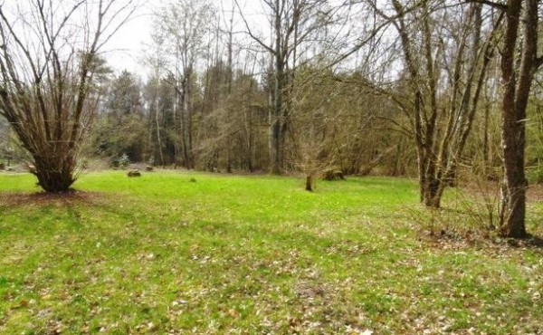 779242ed1c99c62c8147c991be004f0d7d6c1a24