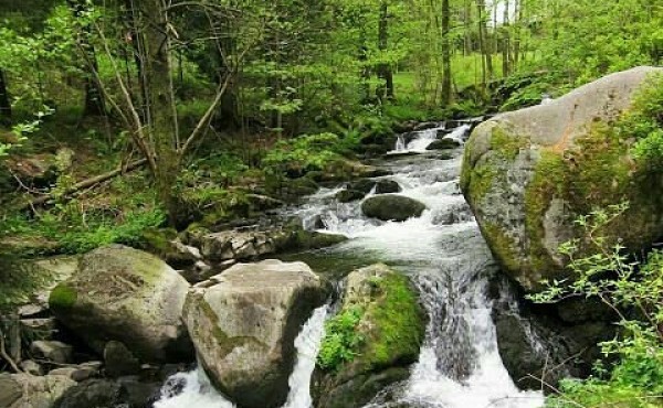 208ada275d3ff6f33de51e5f8bcf3d