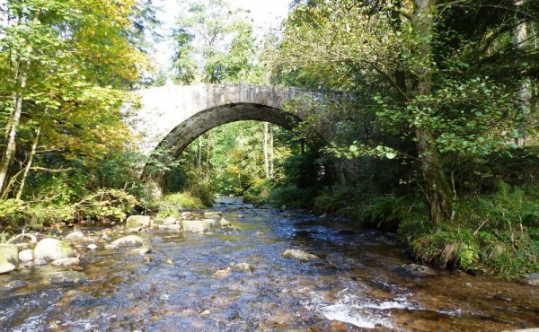 le-saut-des-cuves (1)