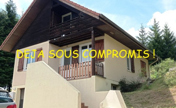 IMG_20220625_153233 - Copie