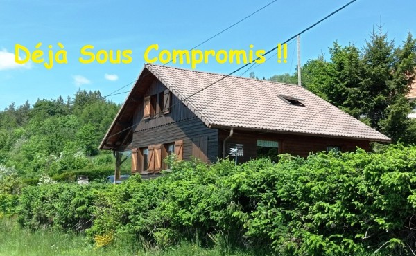 IMG_20230530_145517 - Copie