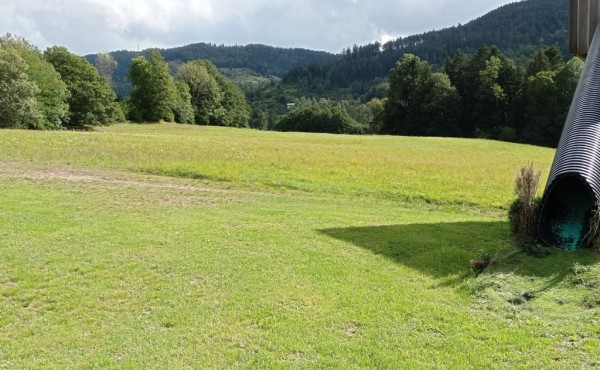 IMG_20230922_140053_1