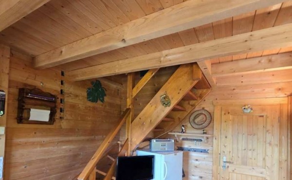 4c67a51a-9e83-4498-a444-6e2efcddd89f 4c67a51a-9e83-4498-a444-6e2efcddd89f