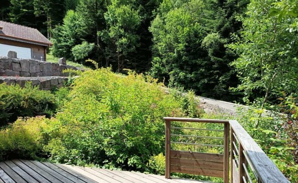 36b84f02-afb2-48dd-bc6a-f76003914aeb 36b84f02-afb2-48dd-bc6a-f76003914aeb