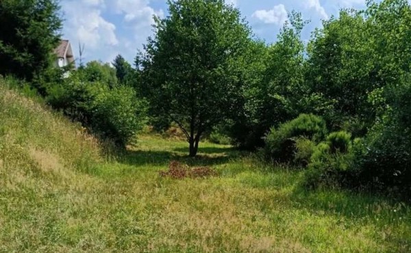 172bdb60-5ac6-4391-bc7e-b41201b94ab0