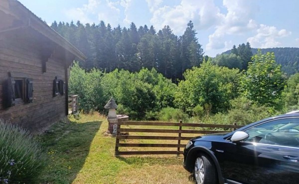 53504039-0817-4dad-a165-c3edaef2c286