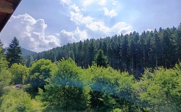 644ff040-afe7-46b4-94f2-a5cb2663a64d