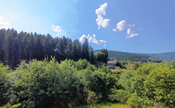 a9454e11-2449-4b74-8766-33d65f32695c