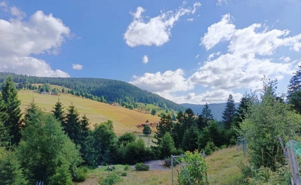 02131667-6c7b-4239-a044-8be65fdcf0ff