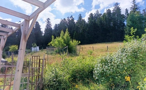 8bb33f81-c529-416b-a8f5-ee62e29292f2