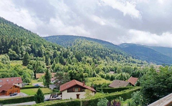 11b4d590-23a4-419f-8af4-aea9059b6226