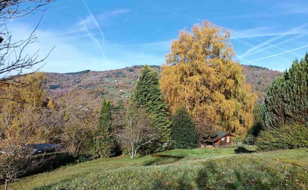 251572a9-59d7-4a65-923a-da95f6149248