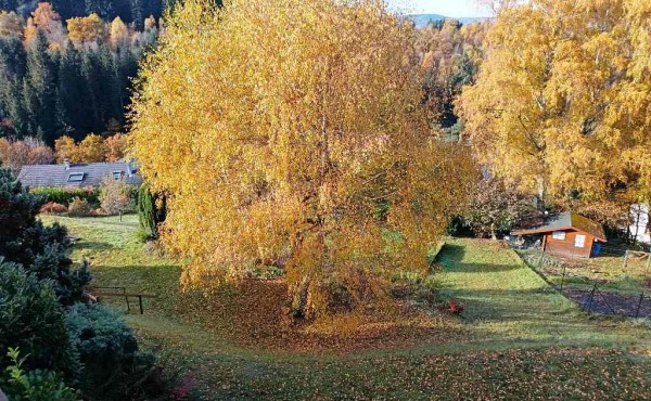 27ddd07a-91e6-480a-b5c3-1f7878ead661 (1)