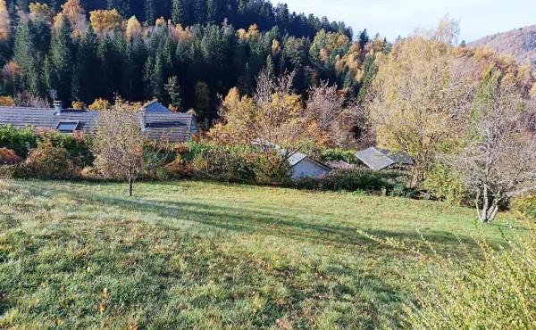 30b07c11-4a71-4337-befe-7dafa9f30666