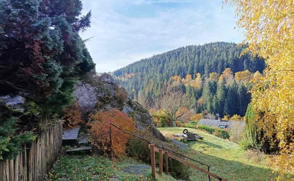 3b9774c4-ca0f-4656-8409-b1f2c76d8bc1