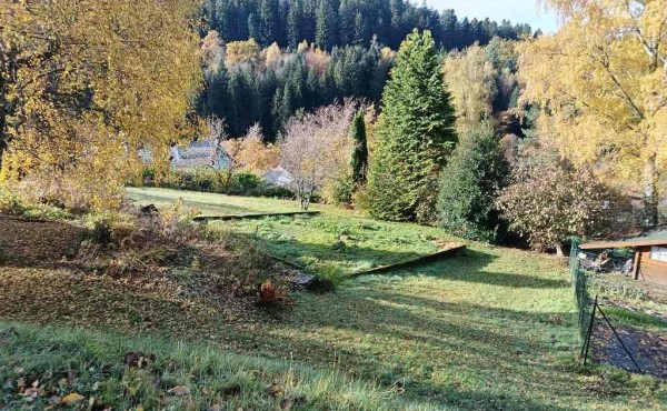 53900b9f-03bb-4a86-a734-33bada072142