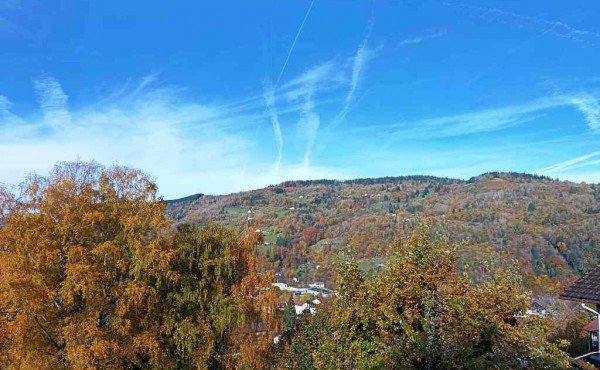 dd461ce2-043e-4523-841d-5d4509c97d87 (1)