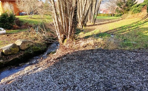 8d092a35-2c5e-46ba-85cc-49af45dbcdfe