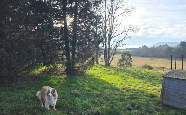 80d6c27a-4a55-47cc-9623-f684555e7d91