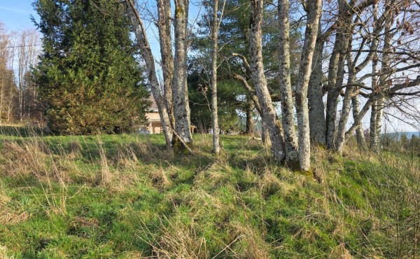 86f6fddb-8f56-489c-a5b2-f53cde00a679