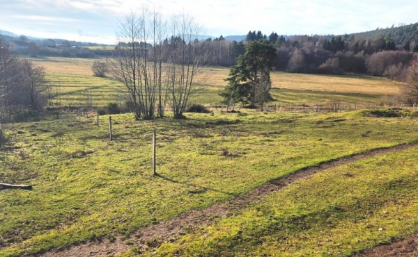 c5320bfe-c717-4f30-8685-d0a26ae87422