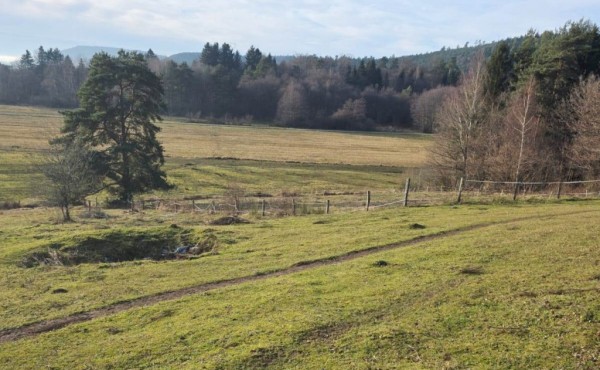 e5d7e10f-45d9-490f-b081-0a44856dbdae