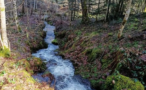 b1dd0730-3885-4306-86c3-5a81af32080a