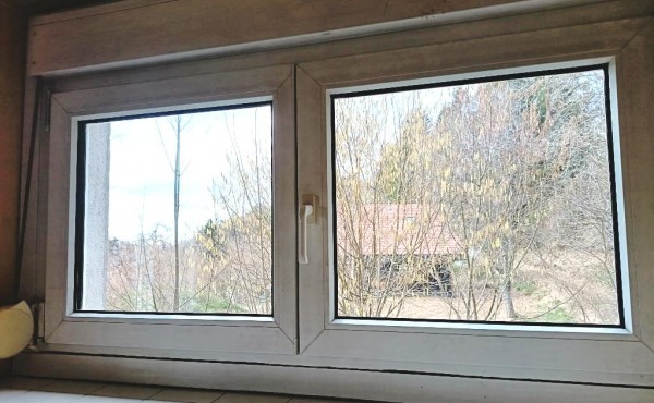 156ce18d-ceaa-4399-b88d-3fc074dabbe4