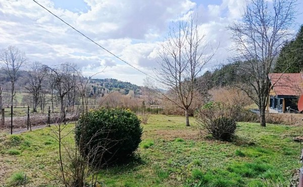 86c00d41-74a1-4e75-8d5d-f470c0e7a0e2