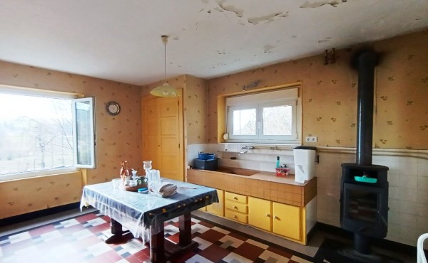 e0249aec-9666-419b-9a80-d46aafeaa65b