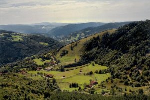 decouvrir-les-hautes-vosges